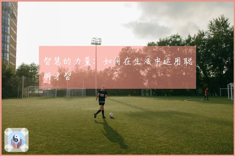 智慧的力量：如何在生活中运用聪明才智