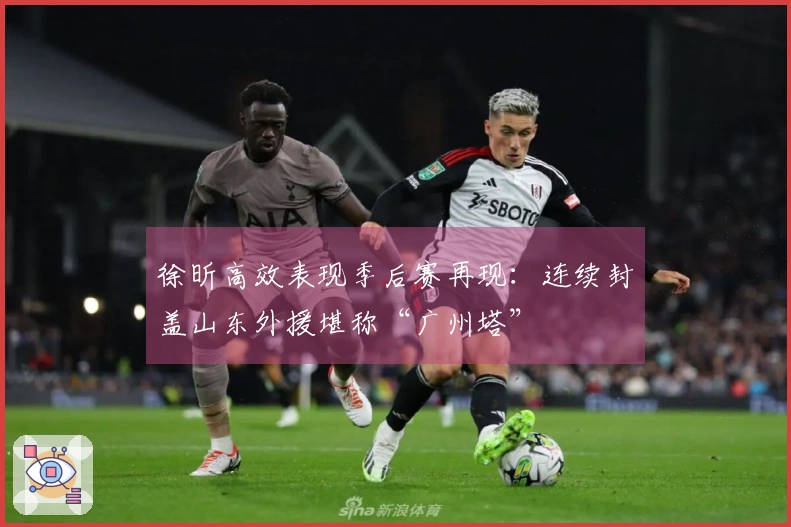 徐昕高效表现季后赛再现：连续封盖山东外援堪称“广州塔”