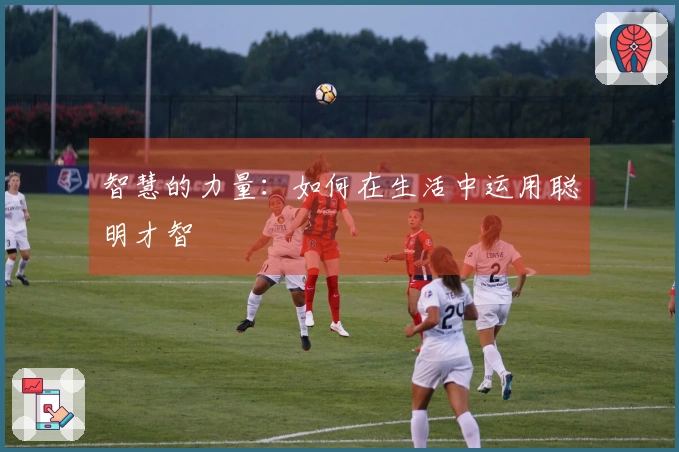 智慧的力量：如何在生活中运用聪明才智